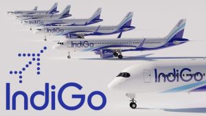 Indigo Flight